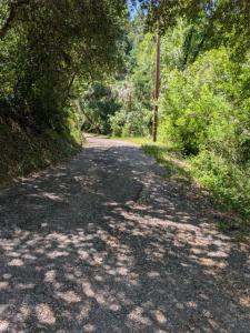 Kelly (Mustang Mesa), Boulder Creek, Californie 95006, États-Unis