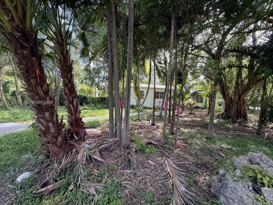 6600 SW 64th Ct, South Miami, Floride 33143, États-Unis