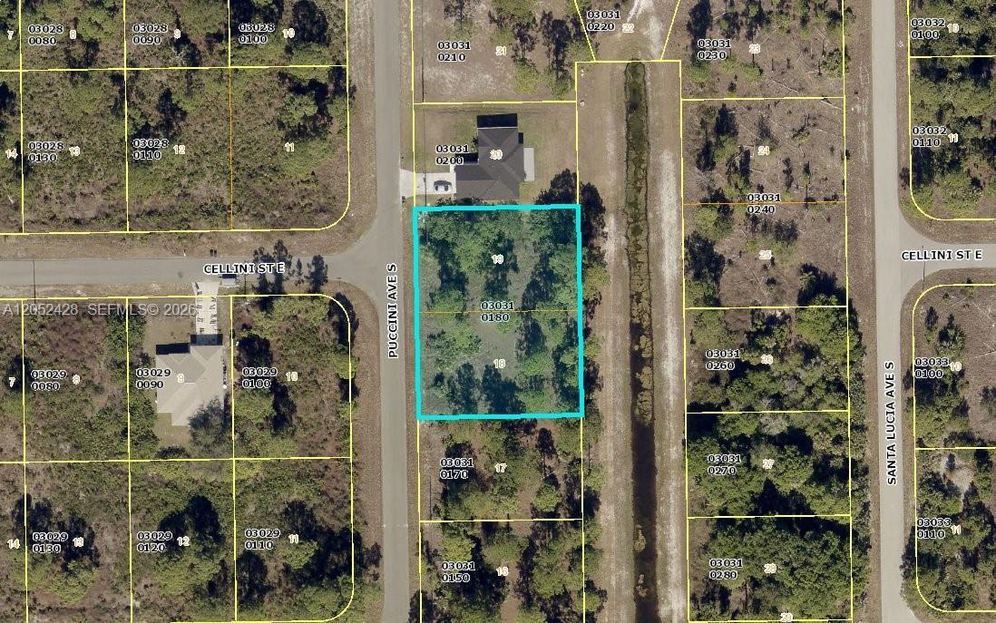 809 S Puccini Ave. S, Lehigh Acres, 플로리다 33974, 미국
