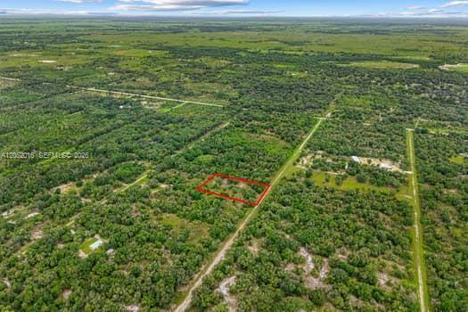 20378 NW 296th Street, Okeechobee, Floride 34972, États-Unis