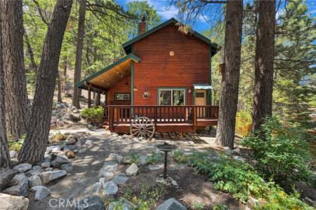 Acorn Drive, Wrightwood, Californie 92397, États-Unis