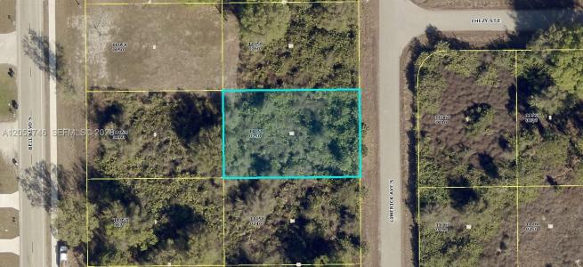 428 S Limerick Ave., Lehigh Acres, Florida 33974, Stati Uniti