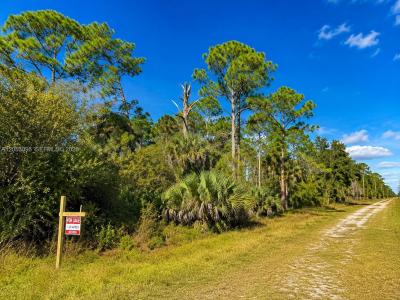 740 S LINDERO ST, Clewiston, Florida 33440, USA