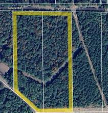 Spruce Road, Minden, Louisiana 71055, Stati Uniti