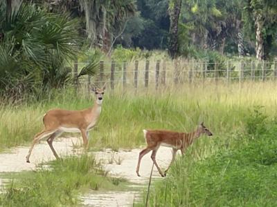 0 Co Rd 832, Clewiston, Florida 33440, Estados Unidos