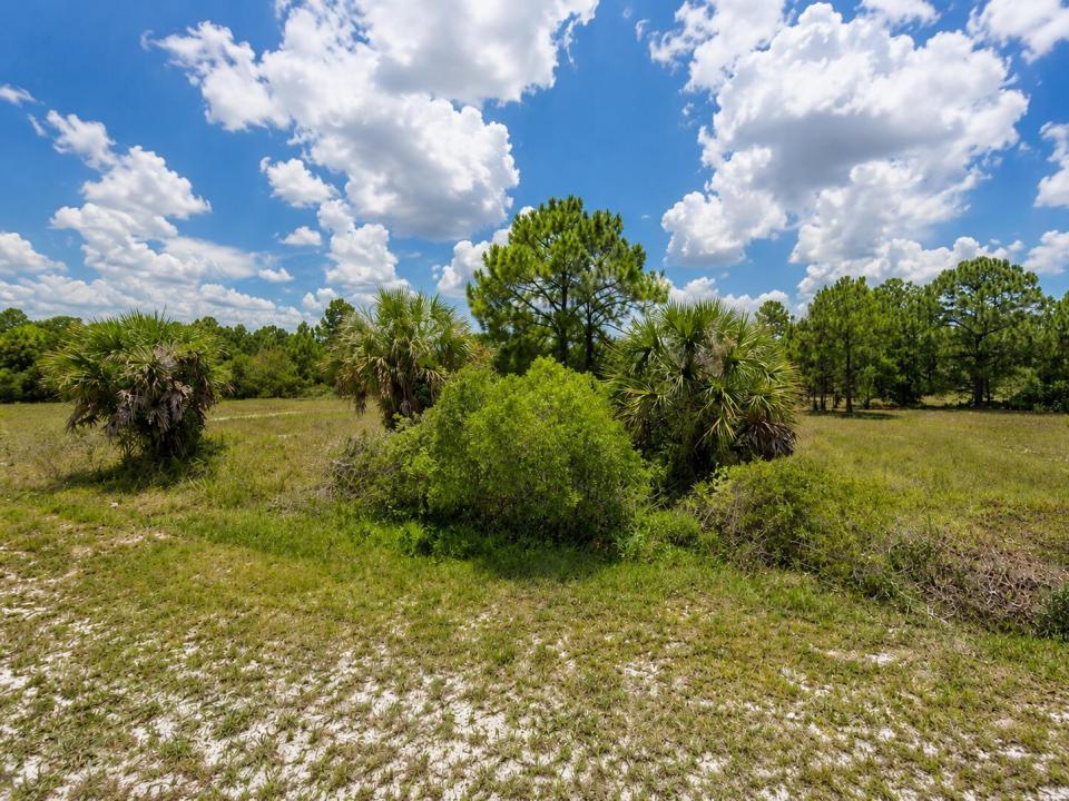170 S Coral Street, Clewiston, Florida 33440, Stati Uniti