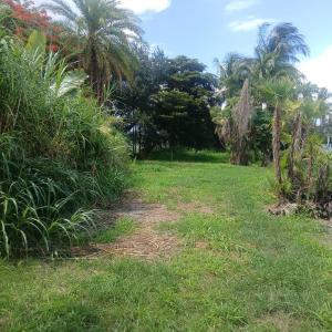 . SW Conners W Highway, Canal Point, Floride 33438, États-Unis