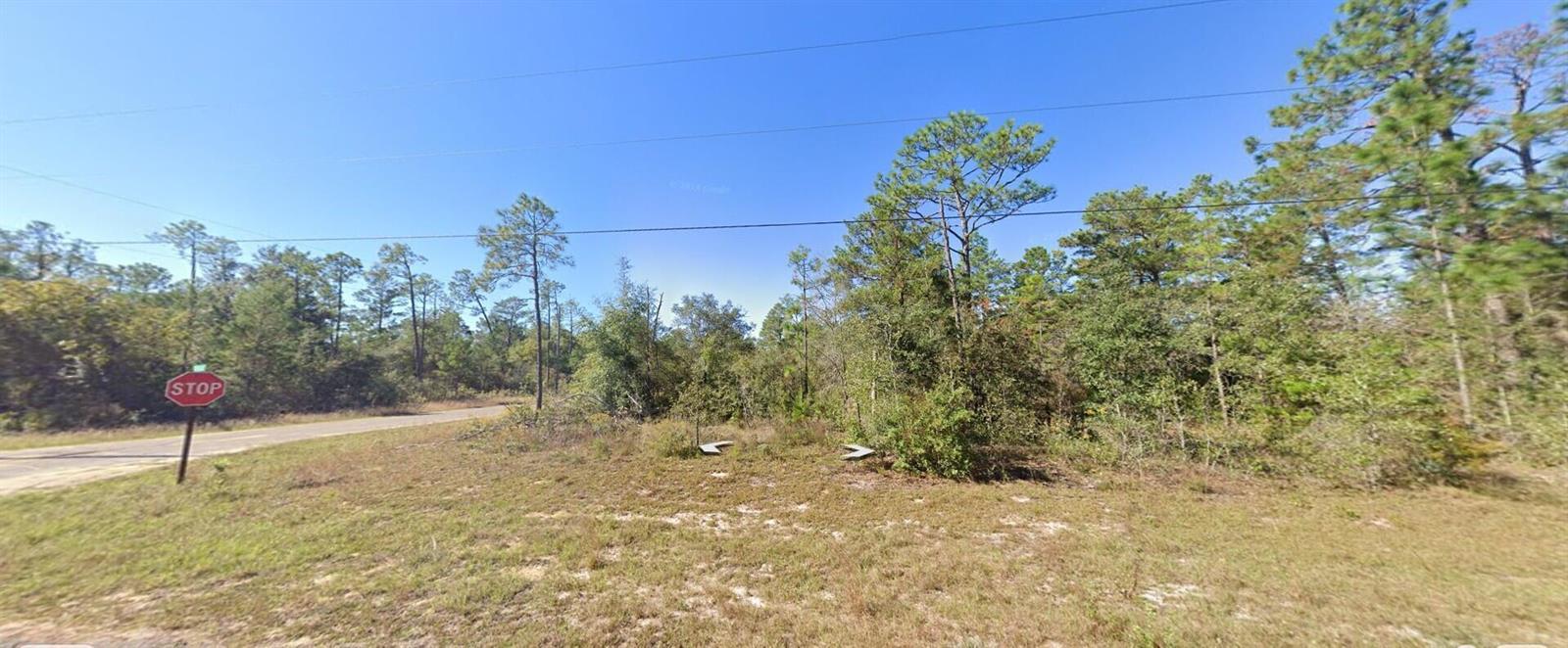 9999 Merrick Drive, Floride 32428, États-Unis