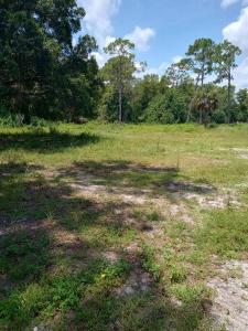 6407 Park E Lane, Wellington, Florida 33449, Stati Uniti