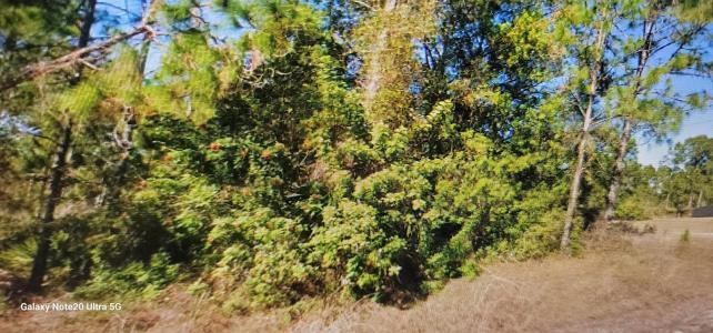 1023 Acacia Avenue, Lehigh Acres, Floride 33972, États-Unis