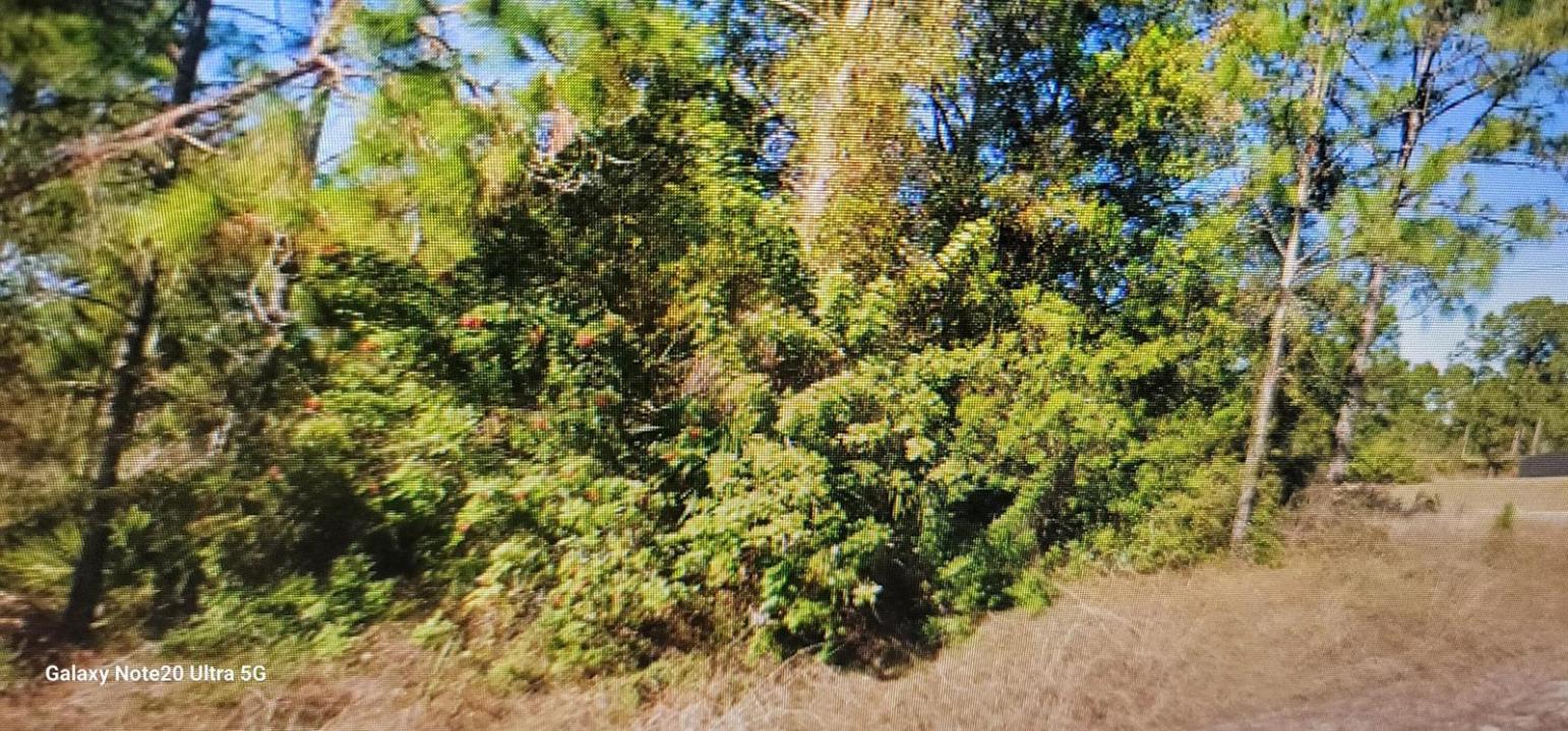 1023 Acacia Avenue, Lehigh Acres, Floride 33972, États-Unis