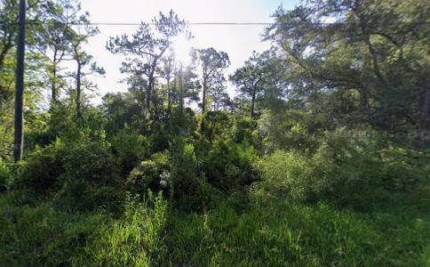 Tbd Atlee Street, New Port Richey, فلوريدا 34654, الولايات المتحدة