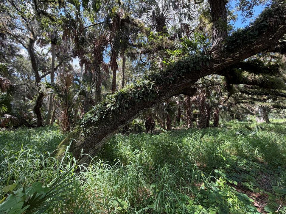 16477 NW 192nd Street, Okeechobee, Florida 34972, USA