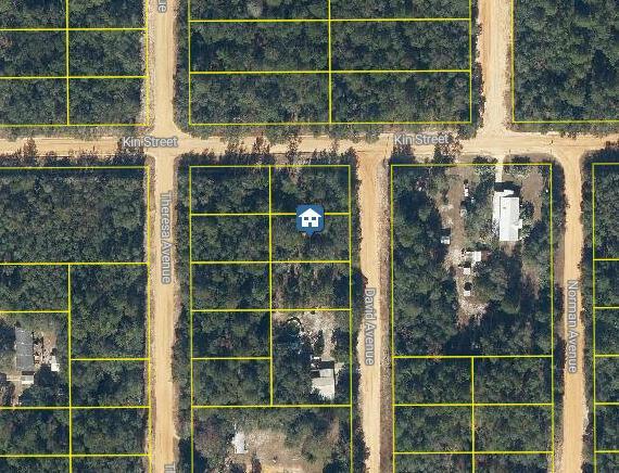 Lot 30 David Avenue, Florida 32148, Stati Uniti