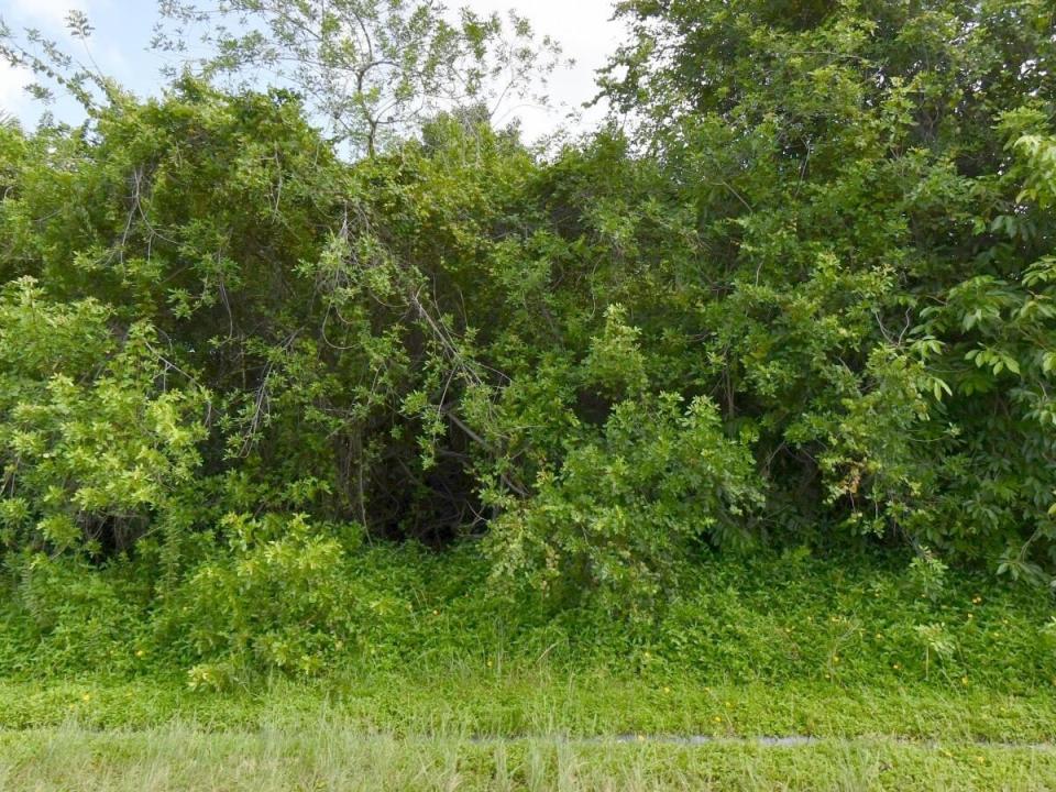 1081 SW Dartmouth SW Avenue, Port St. Lucie, Florida 34953, USA