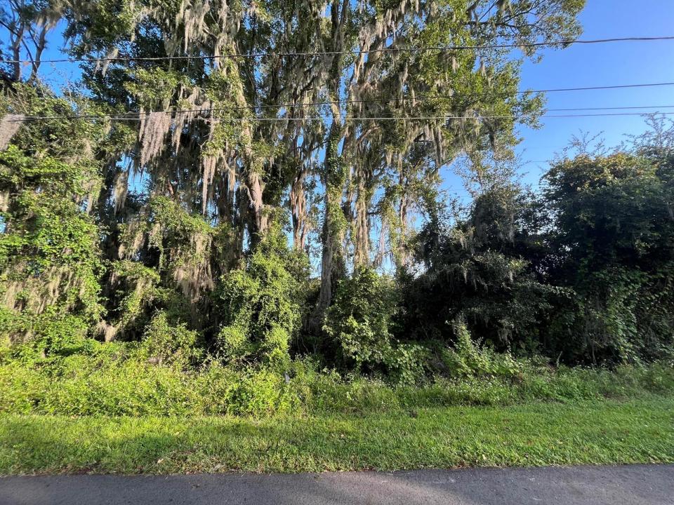262 Toms Road, Florida 32713, Stati Uniti