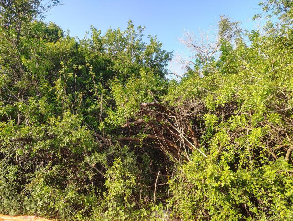3931 SW Port St Lucie Boulevard, Port St. Lucie, Floride 34953, États-Unis