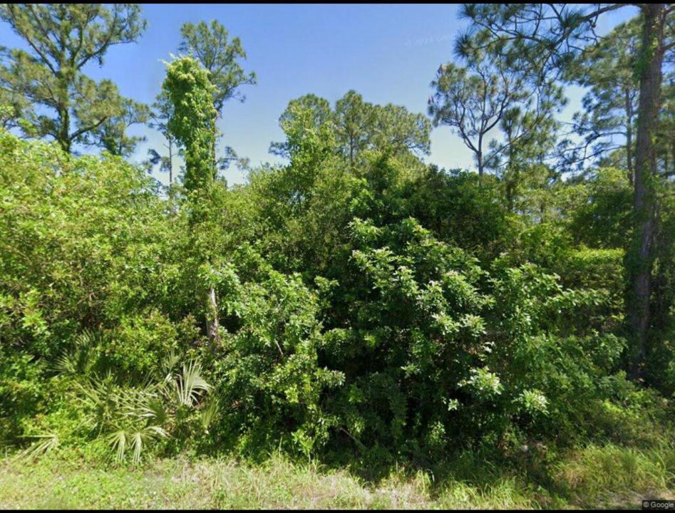 111 Suwannee Lane, Lake Placid, Floride 33852, États-Unis