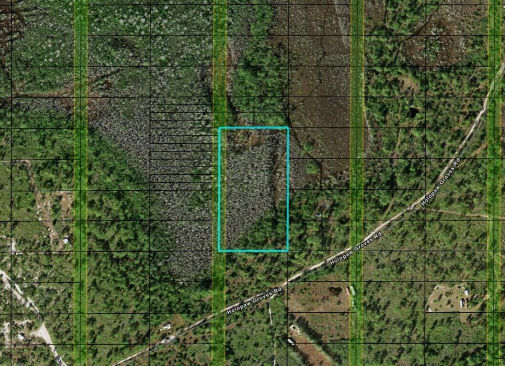 0 Holopaw Groves Road, 플로리다 34772, 미국