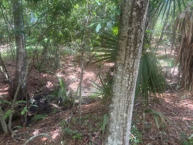 0 Ave O Avenue, Ormond Beach, Floride 32174, États-Unis