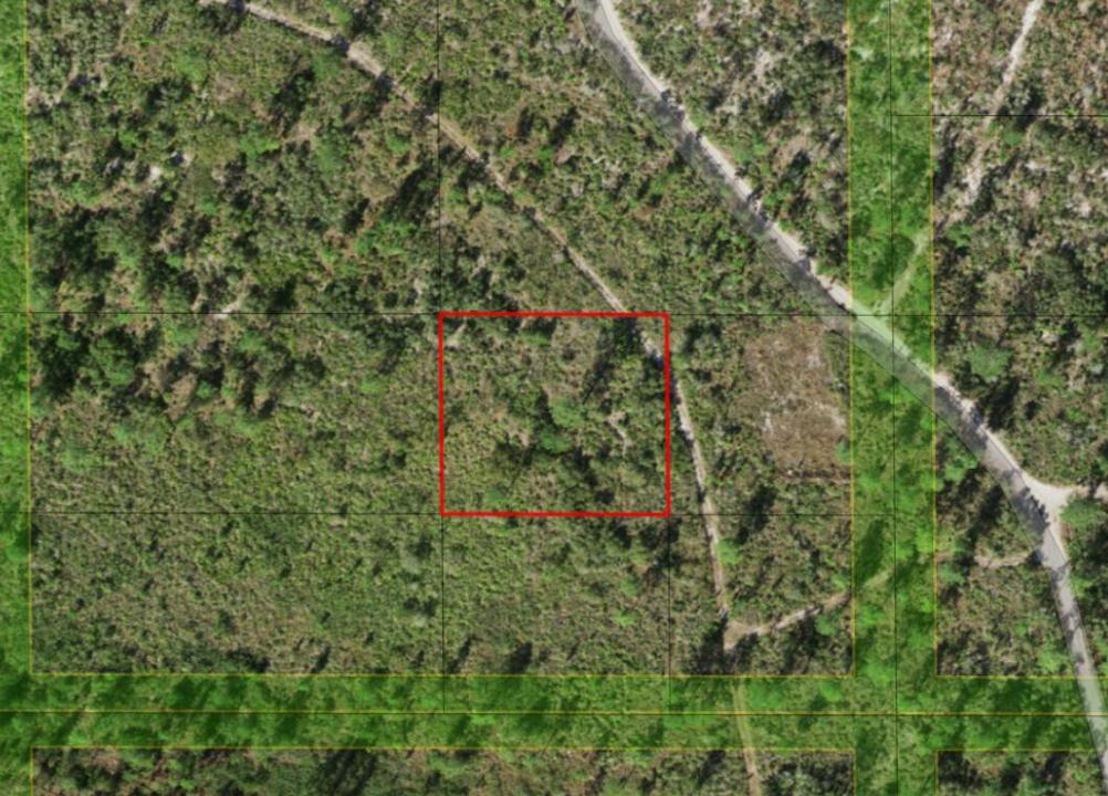 0 Holopaw Groves Road, Florida 34772, Stati Uniti