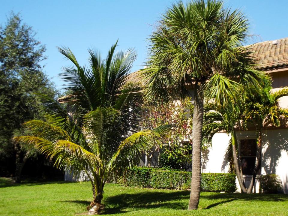 3355 Jaywood Terrace 2140, Boca Raton, Floride 33431, États-Unis
