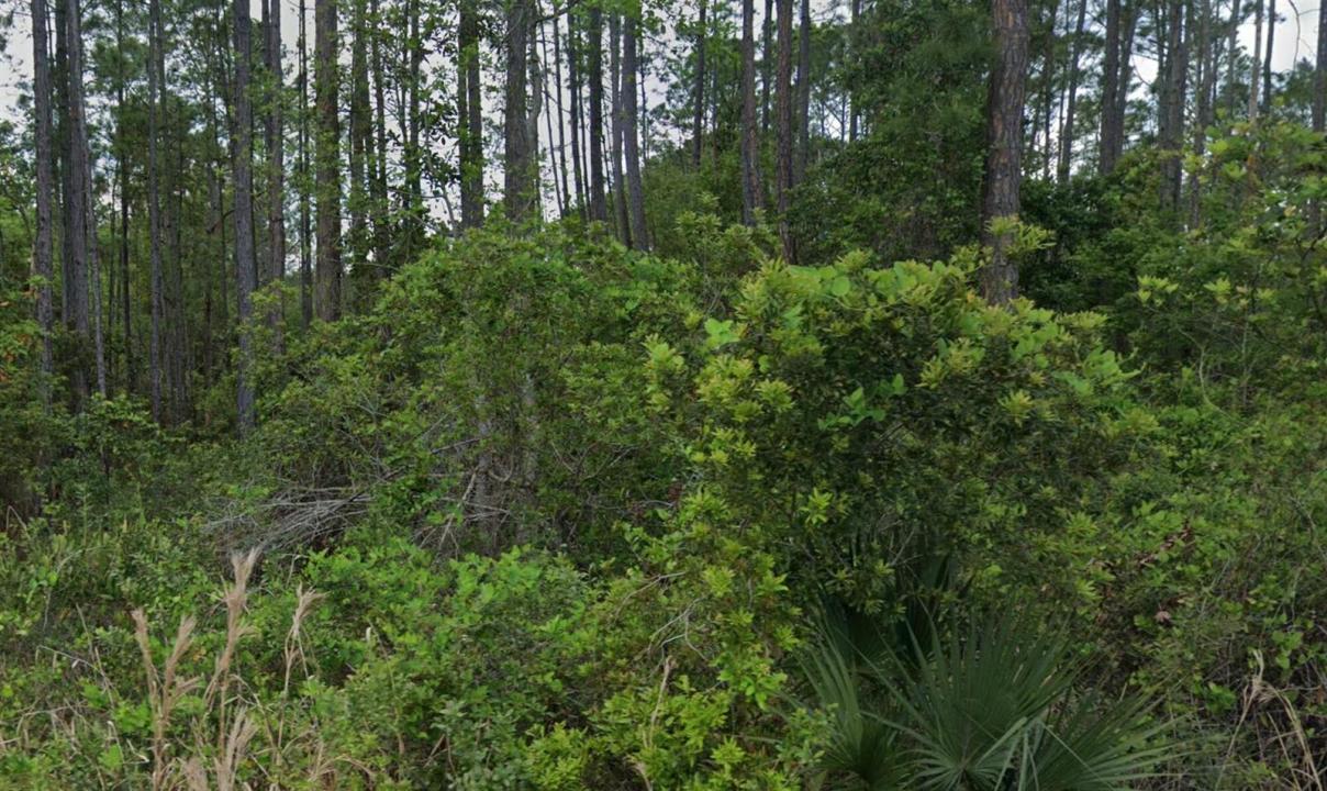 00 Glenside Street, Floride 32139, États-Unis