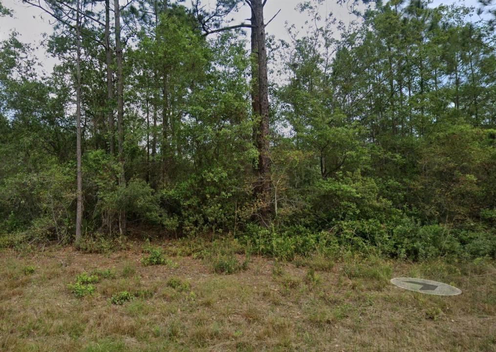 124 Roebuck Street, Floride 32139, États-Unis