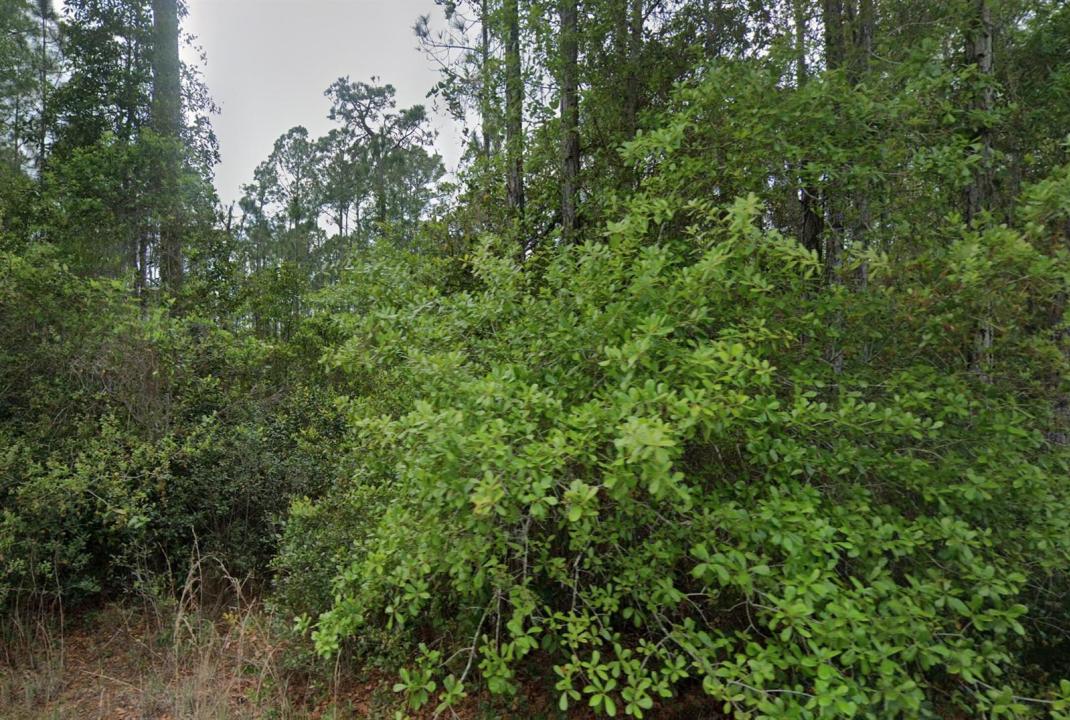 107 Glenside Street, Florida 32139, Stati Uniti