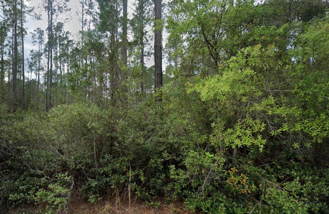 105 Glenside Street, Florida 32139, USA