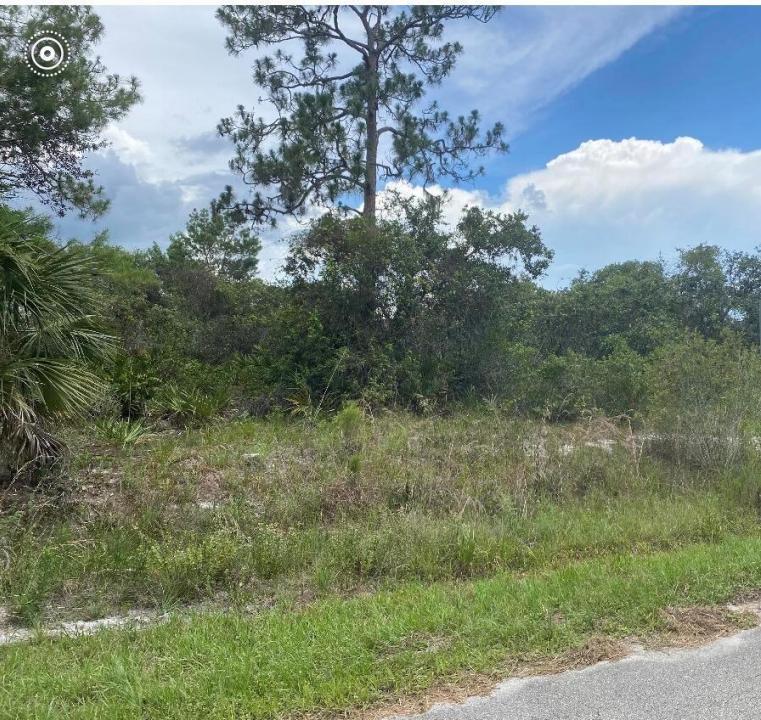 1010 Archie Summers Road, Lake Placid, Floride 33852, États-Unis