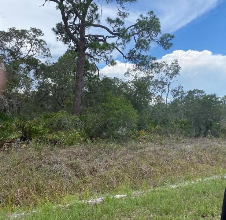 1002 Archie Summers Road, Lake Placid, Florida 33852, Stati Uniti