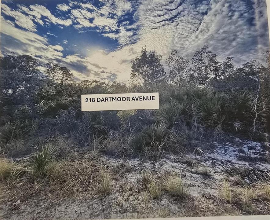 218 Dartmoor Avenue, Lake Placid, Flórida 33852, Estados Unidos