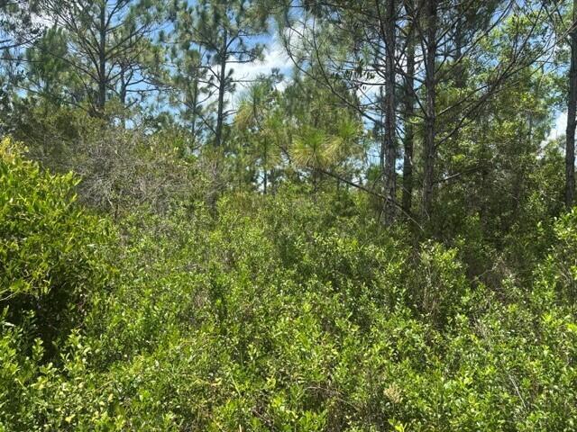 0 Holopaw Groves Road, Floryda 34772, USA
