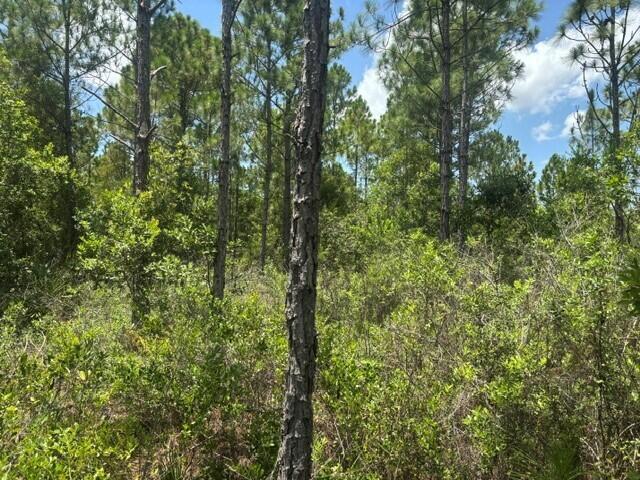 0 Holopaw Groves Road, Floride 34772, États-Unis