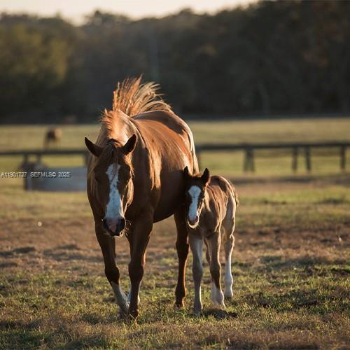 1535 B Road, Floride 33470, États-Unis