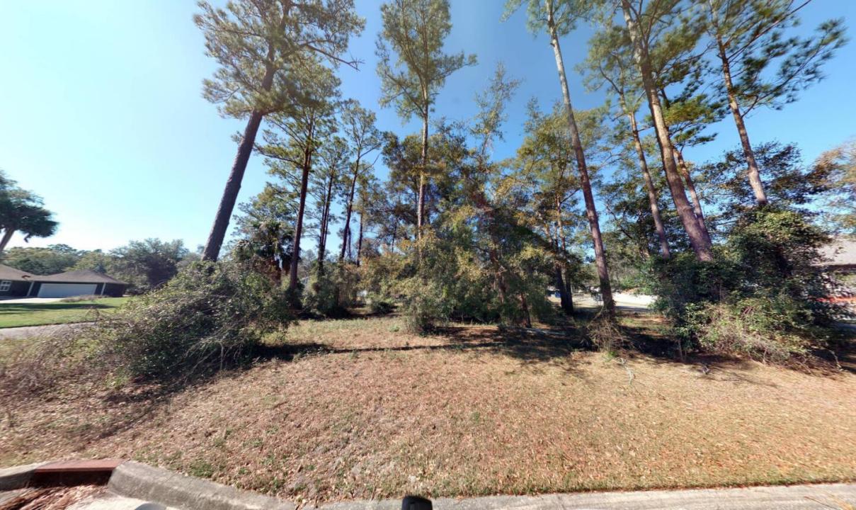 Tbd Waterford Lane, Florida 32097, Stati Uniti