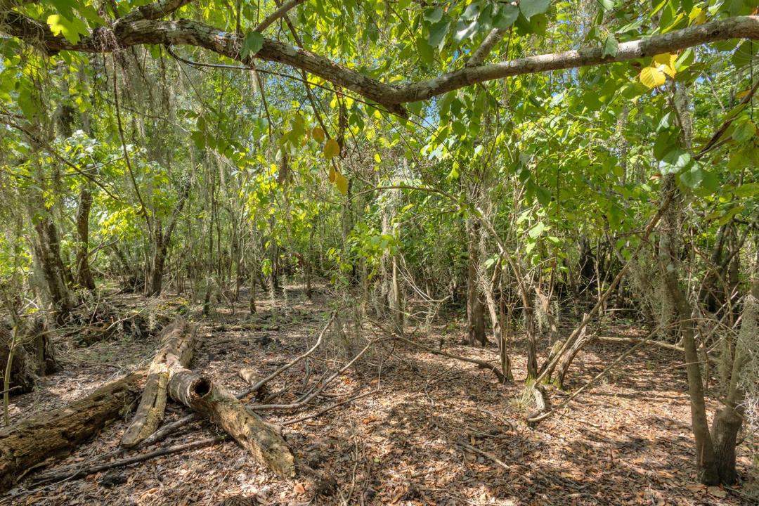 0000 Cummer Road, Deland, Floride 32720, États-Unis