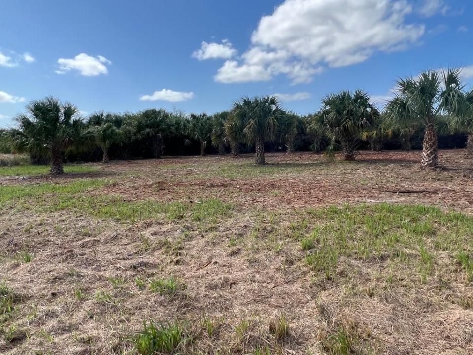 2182 Sparta SW Avenue, Palm Bay, Floride 32908, États-Unis