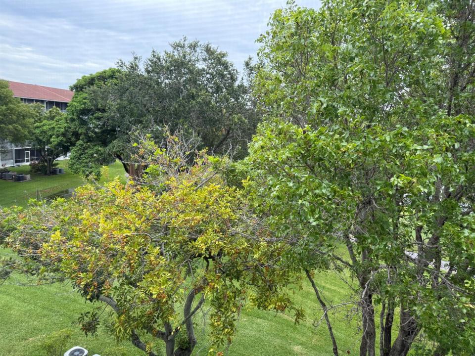 301 SW 135th Avenue 404c, Pembroke Pines, Floride 33027, États-Unis