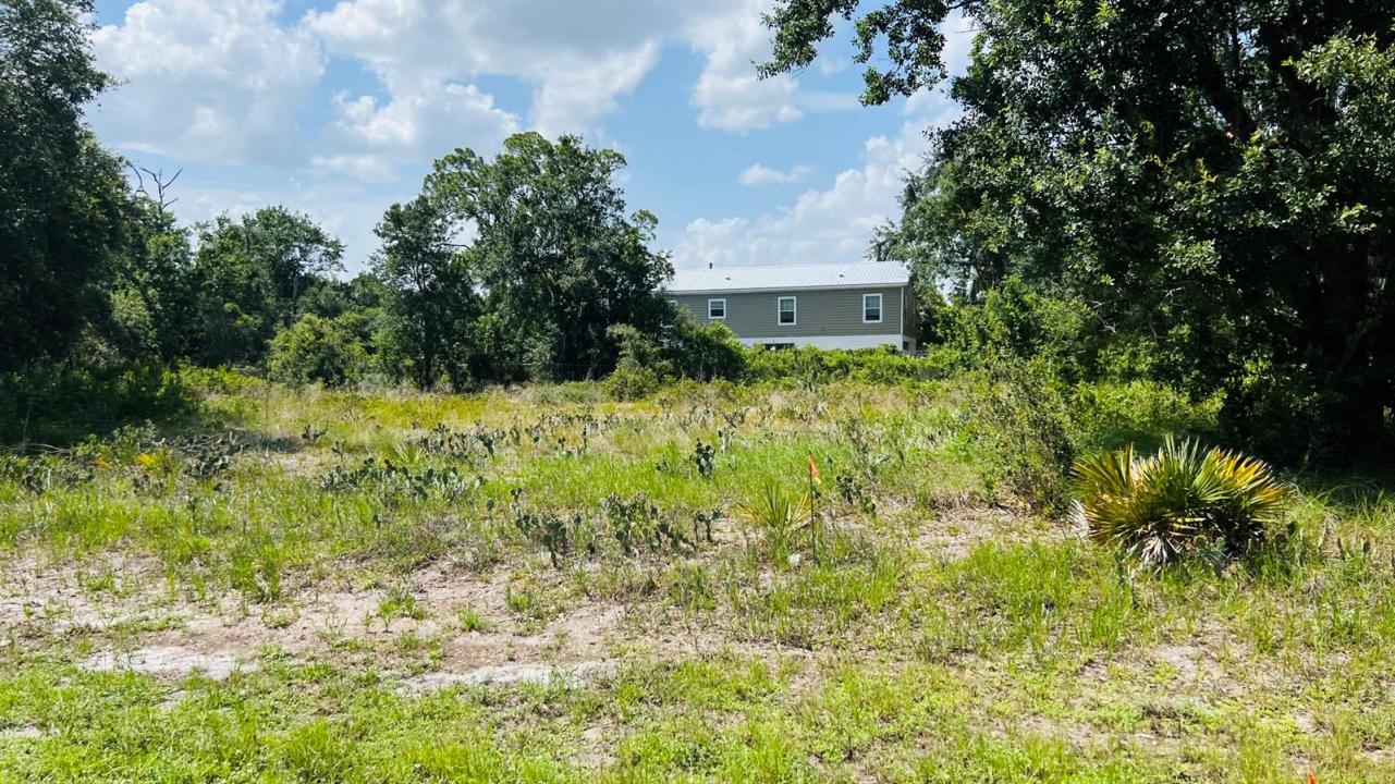 3151 MILLER Avenue, Lake Placid, Florida 33852, USA