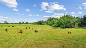 1080 Grand Oaks Ranch Road, Greenville, Texas 75401, États-Unis