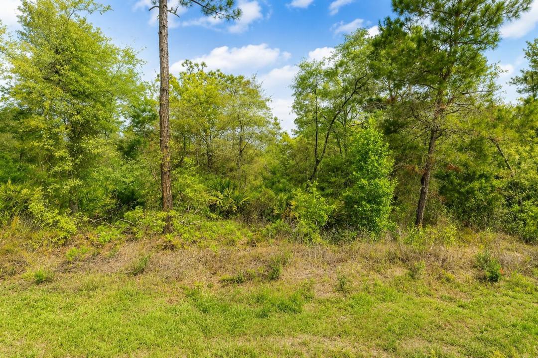 3075 W BEDFORD Lane, Floride 34433, États-Unis