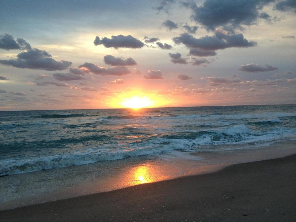 339 Timberwalk Trail, Jupiter, فلوريدا 33458, الولايات المتحدة