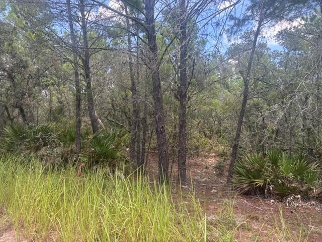0 Us Hwy 27, Lake Wales, Florida 33859, USA