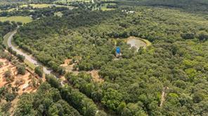 1522 Fm 17, Grand Saline, Texas 75140, États-Unis