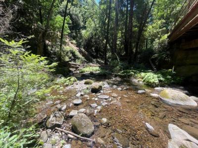 Deer Creek (Lot 21) Road, Boulder Creek, Californie 95006, États-Unis