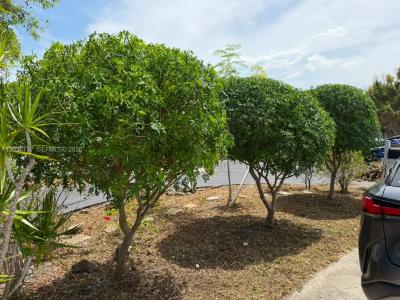 3160 NW 63rd St, Fort Lauderdale, Florida 33309, USA