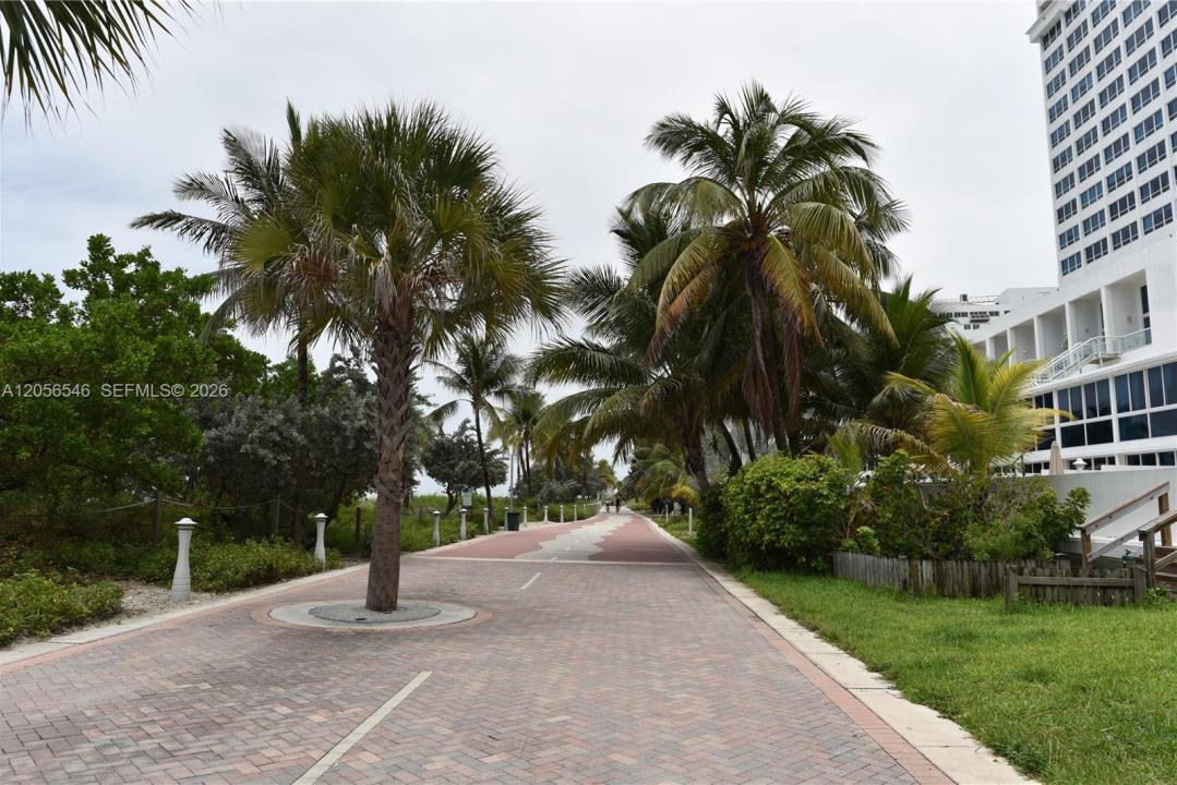 5555 Collins Ave 8K, Miami Beach, Florida 33140, USA