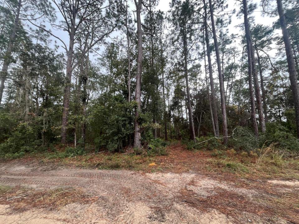 Tbd susan Street, Floride 32148, États-Unis